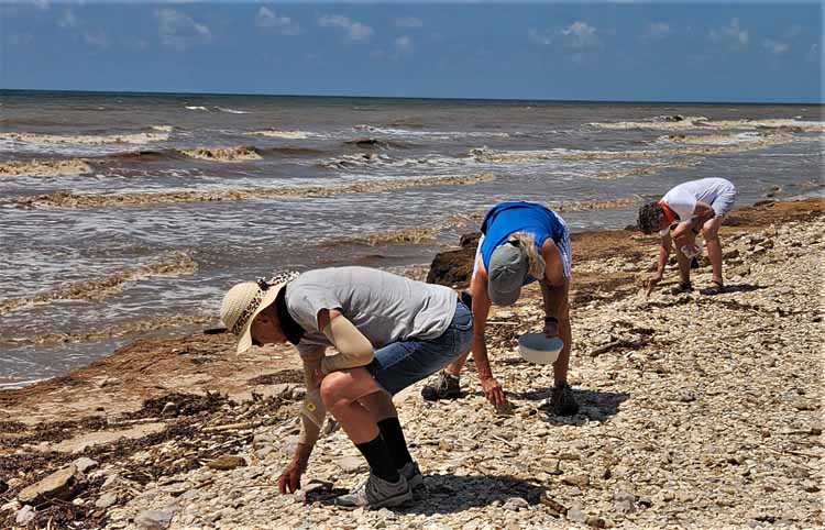 searching for sea glass